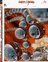 QubiX ( puzzle arcade game )