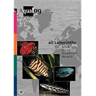 all Labyrinths (AQUALOG-Reference Books) by Frank Schaefer