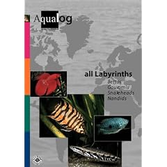 all Labyrinths (AQUALOG-Reference Books)