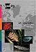all Labyrinths (AQUALOG-Reference Books)