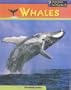 Sea Creatures: Whales