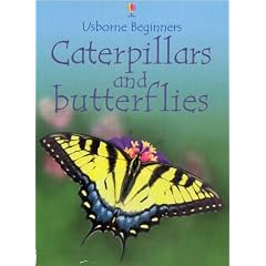 Caterpillars and Butterflies (Usborne beginners series)