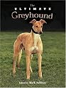 The Ultimate Greyhound