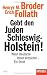 Bücher : Gebt den Juden Schleswig-Holstein!: Wenn Deutsche Israel kritisieren - ein Streit - Ein SPIEGEL-Buch