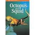 Octopus and Squid (Monterey Bay Aquarium Natural History Series) (Monetary Bay Aquarium Natural History Series) by James C. Hunt