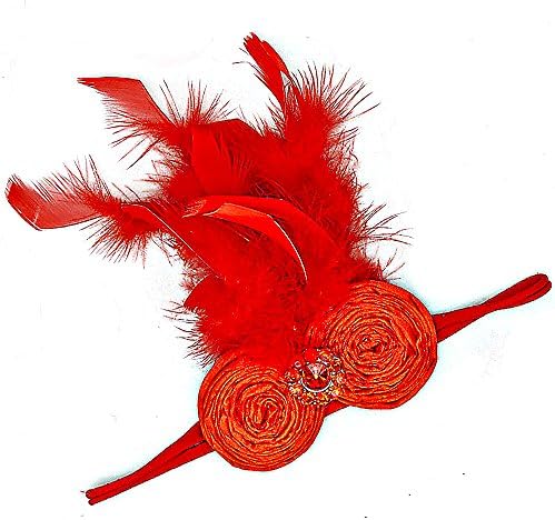Royal Gem Clothing Baby-Girls Rhinestone &amp; Feather Headband