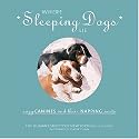 Where Sleeping Dogs Lie: Cozy Canines and Their Napping Nests