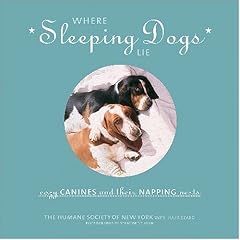 Where Sleeping Dogs Lie: Cozy Canines and Their Napping Nests