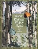 Insects and Diseases of Woody Plants of the Central Rockies