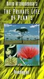 Private Life of Plants 1: Branching Out