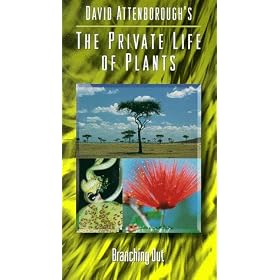 Private Life of Plants 1: Branching Out [VHS]