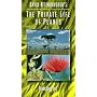 Private Life of Plants 1: Branching Out [VHS]