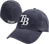 Tampa Bay Rays Navy '47 Brand Franchise Fitted Hat