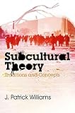 Subcultural theory : traditions and concepts
