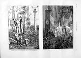 1875 Venus Australian Bush Station Astronomy Tolosa