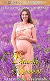 The Blessing Moment: Clean Pregnancy Romance Collection Box Set (Inspirational Holiday Love Inspired Pregnancy Baby Romance) (Contemporary Women's Fiction Second Chance Anthologies)