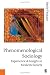 Phenomenology and Social Theory: Insight and Experience in Modern Society
