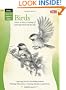 How To Draw and Paint Birds