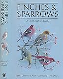 Finches & sparrows