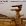 Bruised Water (Nine Remixes)