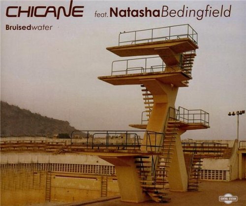 Bruised Water (Nine Remixes)