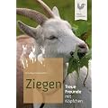 Ziegen: Treue Freunde mit K�pfchen