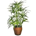 Forever Silk Hot Tropics