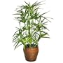 Forever Silk Hot Tropics
