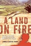A Land on Fire: The Environmental Consequences of the Southeast Asian Boom