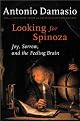 Looking for Spinoza: Joy, Sorrow, and the Feeling Brain