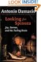 Looking for Spinoza: Joy, Sorrow, and the Feeling Brain