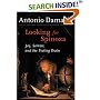 Looking for Spinoza: Joy, Sorrow, and the Feeling Brain