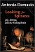 Looking for Spinoza: Joy, Sorrow, and the Feeling Brain