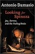 Looking for Spinoza: Joy, Sorrow, and the Feeling Brain