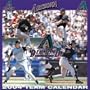 Arizona Diamondbacks 2004 16-month wall calendar