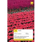 Teach Yourself Dutch Complete Course (Book Only) (Teach Yourself Language Complete Courses)by Gerdi Quist