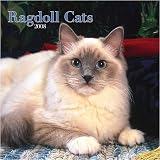 Cats Ragdoll Wall 2008