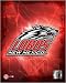 2005 - University of New Mexico / logo by Unknown. Size 16.00 inches width by 19.55 inches height. High Quality Art Poster Print