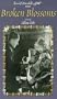Broken Blossoms [VHS]