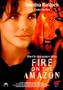 Fire on the Amazon