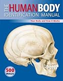 The human body identification manual : your body and how it works