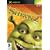 Shrek 2 (Xbox)