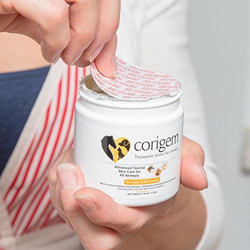 Corigem Balm Pet Wound, Itch, and Infection Skin Care Great