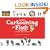 The Art of Cartooning with FLASH (With CD-ROM)