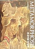 メタモルフォシス―恒松正敏作品集-