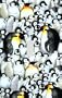 Penguin Collage Decorative Switchplate Cover