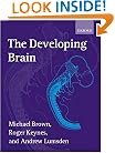 The Developing Brain