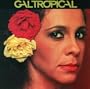 Gal Tropical