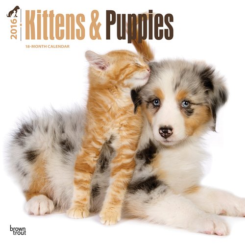 Kittens & Puppies 2016 Square 12x12