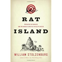 Rat Island